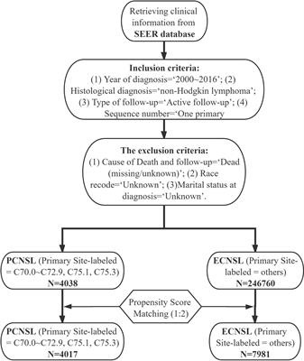 Cardiovascular Outcomes in the Patients With Primary Central Nervous System Lymphoma: A Multi-Registry Based Cohort Study of 4,038 Cases